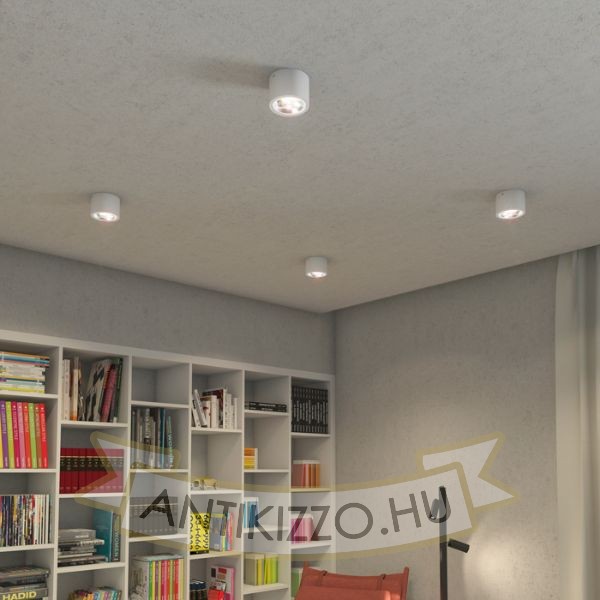 Kép KELLY LED DIMM mennyezeti lámpa fehér 230V LED 15W 45° 3000K