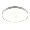 Kép MENSA R 80 mennyezeti lámpa  szálcsiszolt alumínium 230V LED 80W  3000K