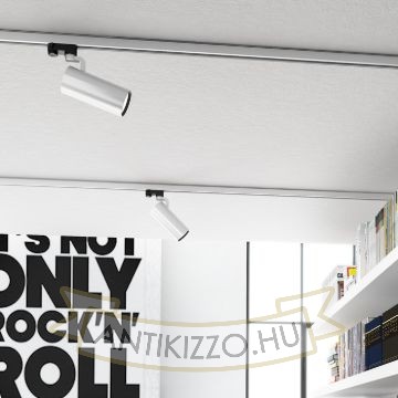 FANGIO háromfázisú áramkörös sínre ezüstszürke  230V LED 25W 36°  3000K
