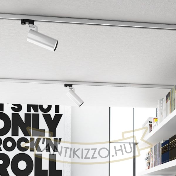FANGIO háromfázisú áramkörös sínre ezüstszürke  230V LED 25W 36°  3000K