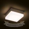 Kép SPECTACLE felületre szerelhető ezüstszürke 230V LED 5W IP54 3000K