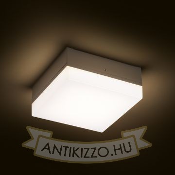 Kép SPECTACLE felületre szerelhető ezüstszürke 230V LED 5W IP54 3000K