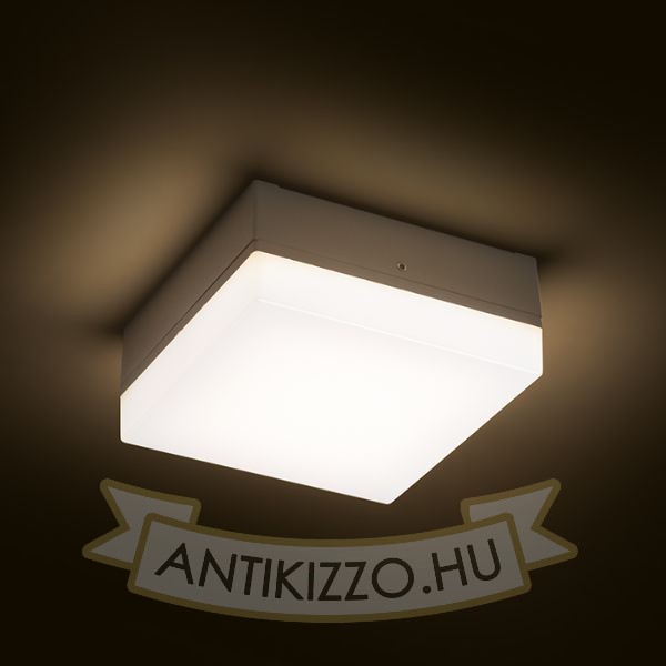 Kép SPECTACLE felületre szerelhető ezüstszürke 230V LED 5W IP54 3000K