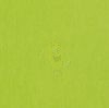 Kép RON 55/30 lámpabúra  Chintz lime/fehér PVC  max. 23W