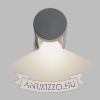 Kép SONET fali lámpa antracitszürke 230V LED 7W IP54 3000K