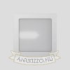 DEZA négyzetes  alumínium/szatén üveg 230V LED G9 5W IP54