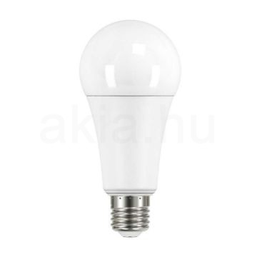 Kép LED fényforrás IQ-LED A67 IQ-LED A67 N 19W-CW