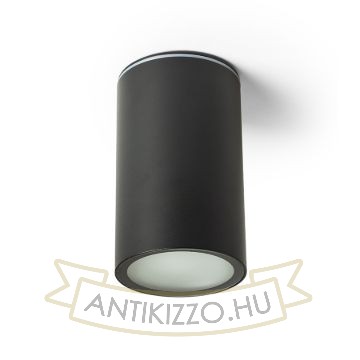 DUNE E27 mennyezeti lámpa fekete 230V LED E27 9W IP65
