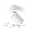 DARIO mennyezeti lámpa fehér szálcsiszolt sárgaréz 230V LED GU10 9W