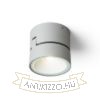 FLAVIO R felületre szerelhető világosszürke 230V LED 6W 110° IP54 3000K