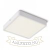 HUE SQ 22 mennyezeti lámpa fehér 230V LED 24W 3000K