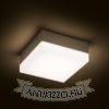 SPECTACLE felületre szerelhető ezüstszürke 230V LED 5W IP54 3000K