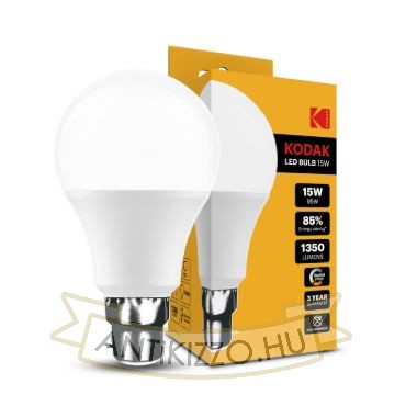 LED Globe B22